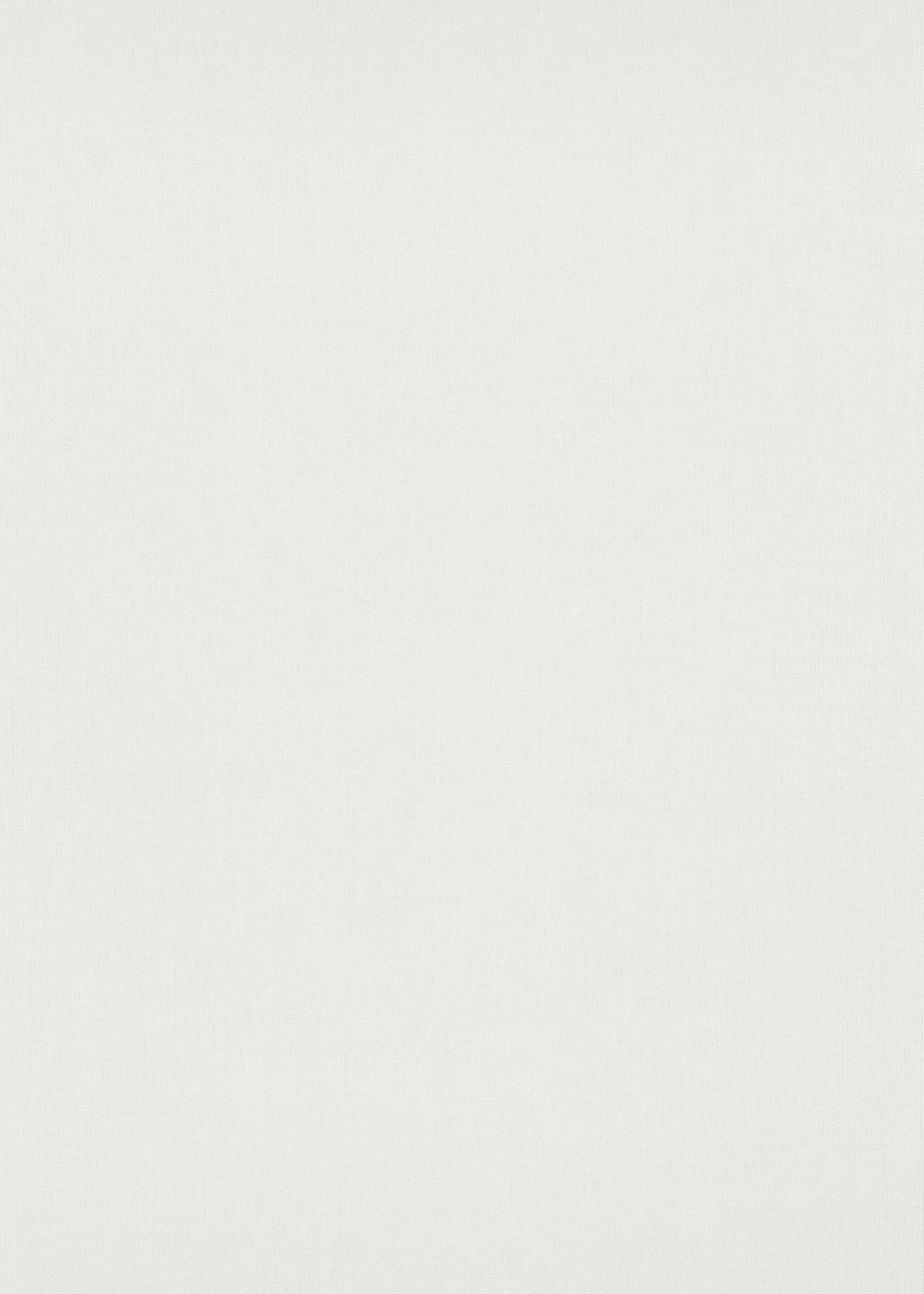 10437-01_1 White vinyl wallpaper on non-woven backing