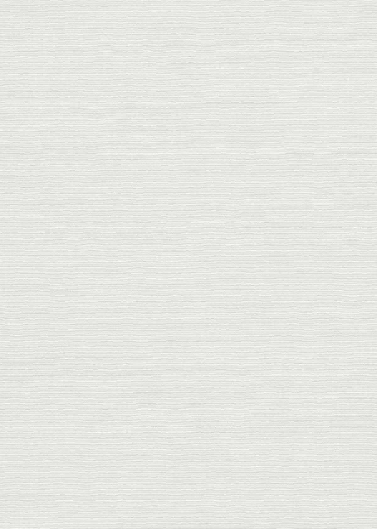 10473-01_1 White vinyl wallpaper on non-woven backing