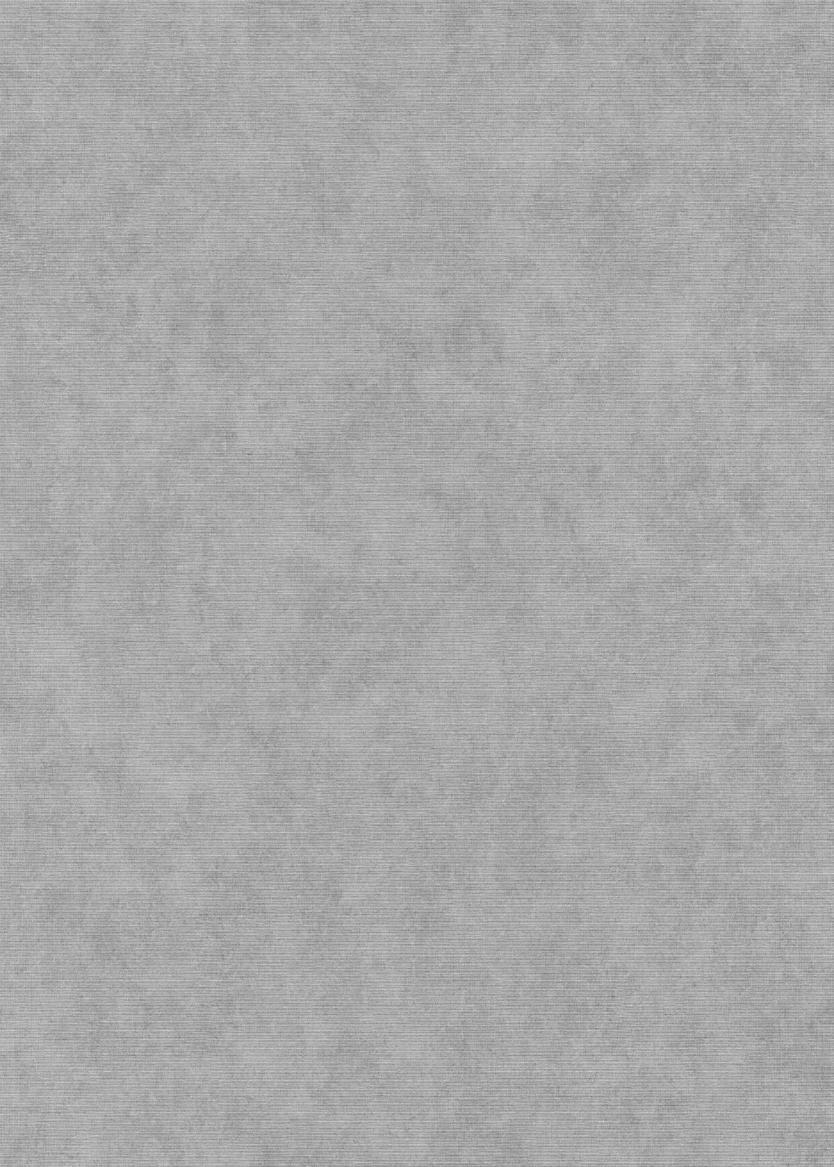 10473-10_1 Gray vinyl wallpaper on non-woven backing