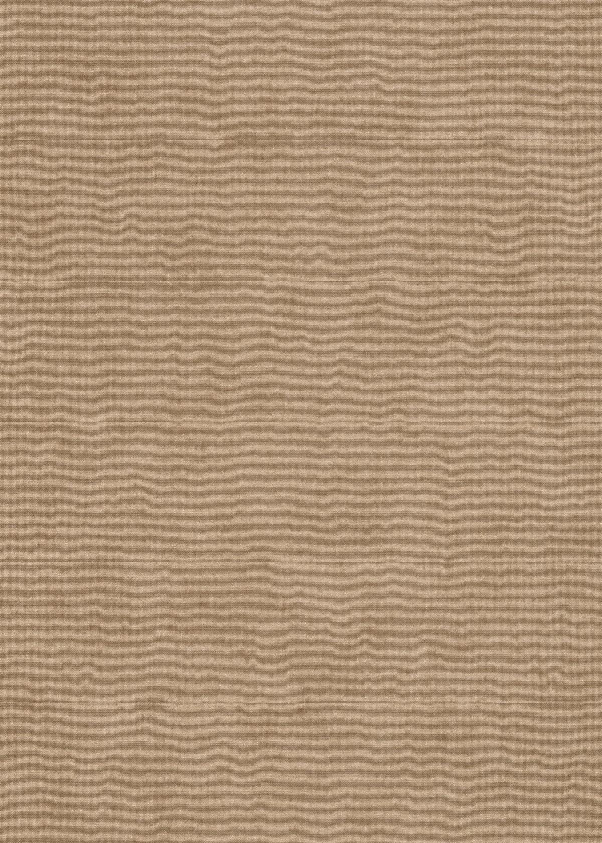 10473-30_1 Brown non-woven vinyl wallpaper from Elysium collection