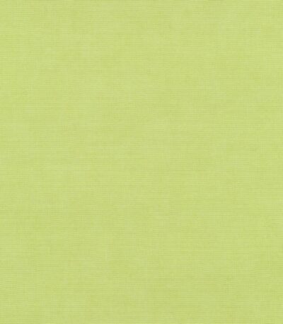 Green vinyl wallpaper on non-woven backing