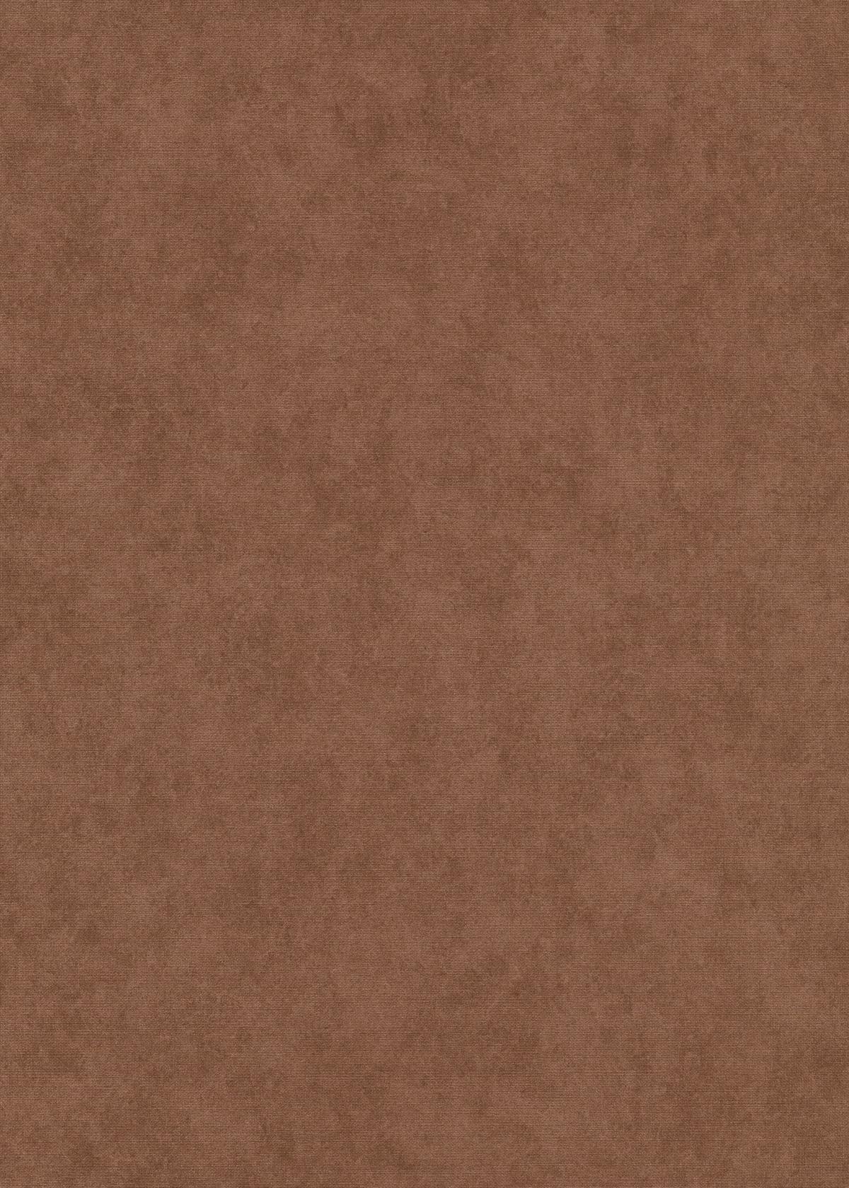 10473-48_1 Brown vinyl non-woven wallpaper Elysium collection