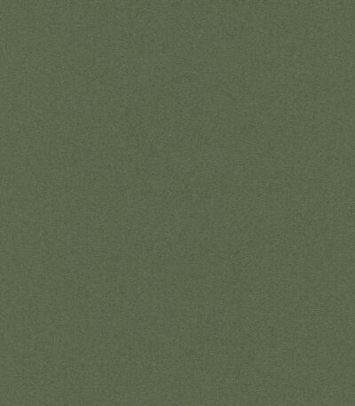 Vinyl non-woven wallpaper with textured colour design