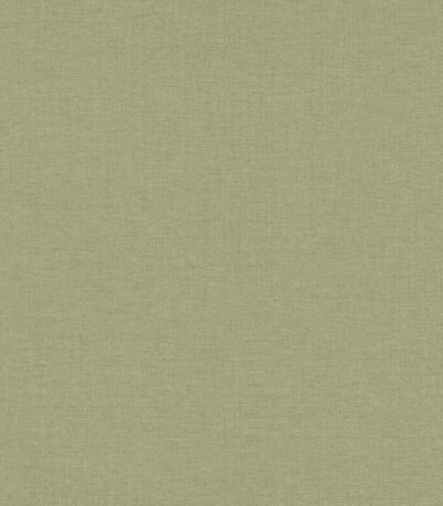 Green vinyl wallpaper with non-woven backing