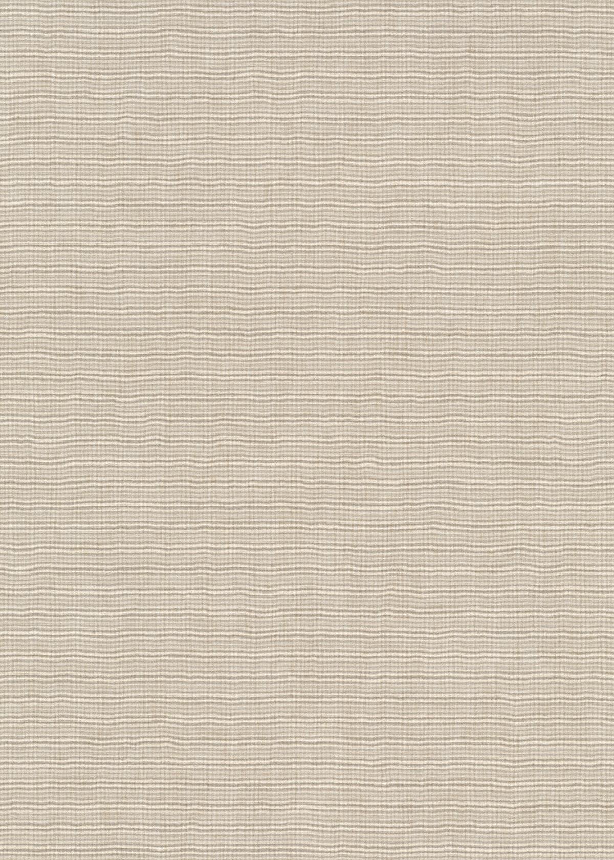 10539-05_1 Taupe vinyl wallpaper on non-woven backing
