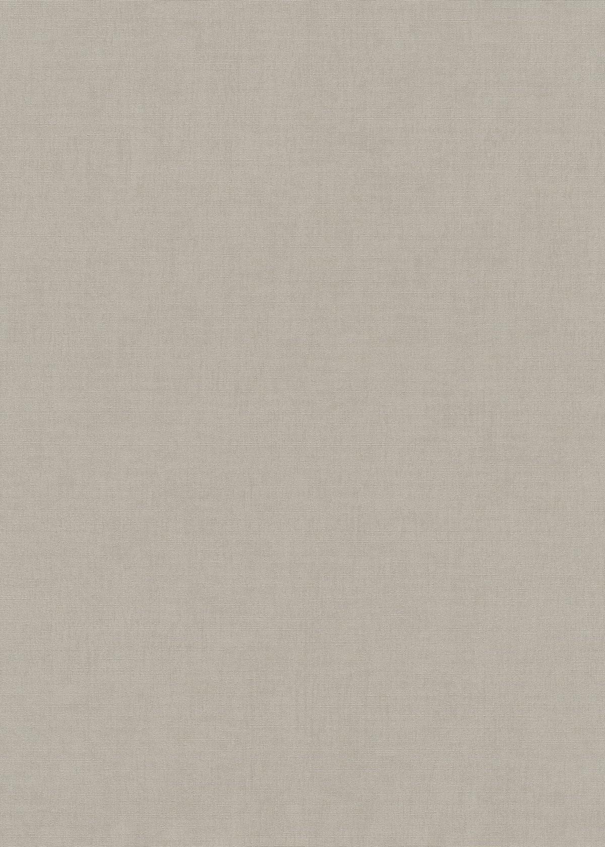 10539-38_1 Taupe non-woven vinyl wallpaper with smooth texture